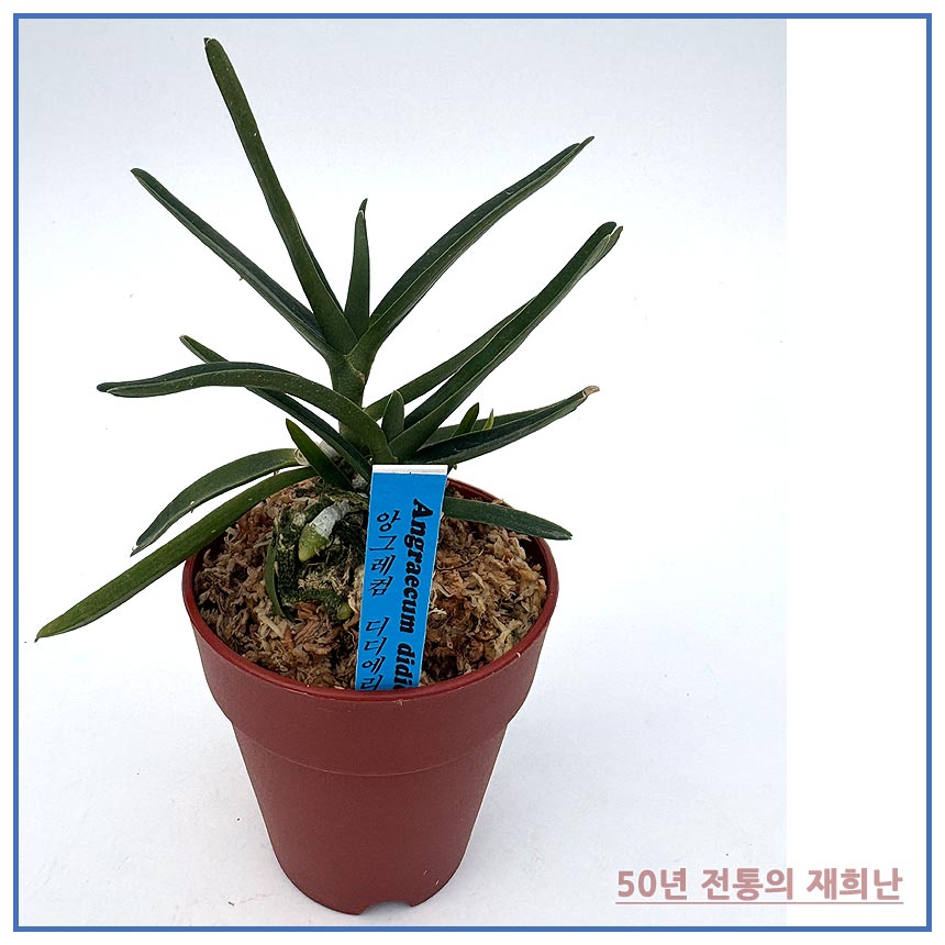 d888d37288816053c042ec2892086605_1764129347_9868.jpg d888d37288816053c042ec2892086605_1764129347_9868.jpg