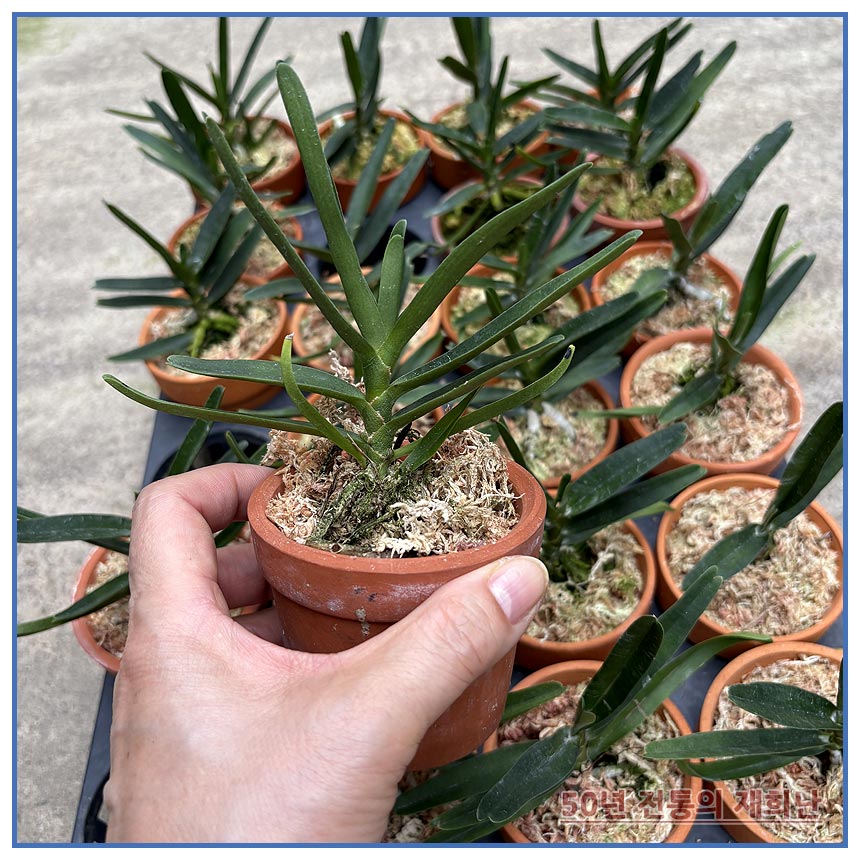 d888d37288816053c042ec2892086605_1764129348_0201.jpg d888d37288816053c042ec2892086605_1764129348_0201.jpg