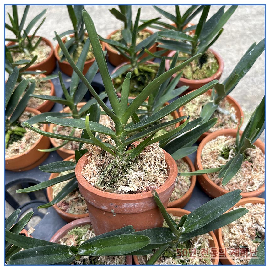 d888d37288816053c042ec2892086605_1764129348_0565.jpg d888d37288816053c042ec2892086605_1764129348_0565.jpg