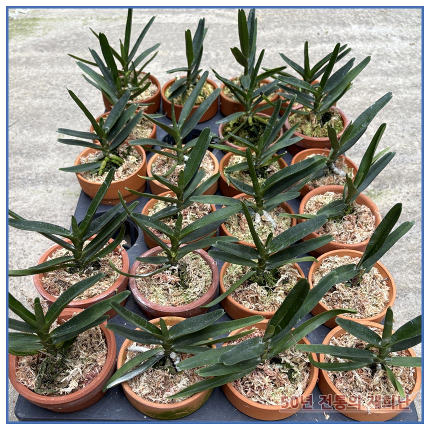 d888d37288816053c042ec2892086605_1764129348_0948.jpg d888d37288816053c042ec2892086605_1764129348_0948.jpg