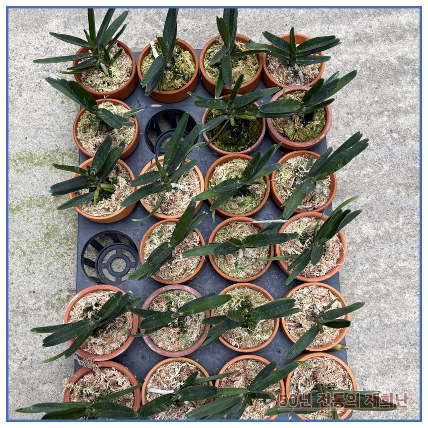 d888d37288816053c042ec2892086605_1764129348_1379.jpg d888d37288816053c042ec2892086605_1764129348_1379.jpg