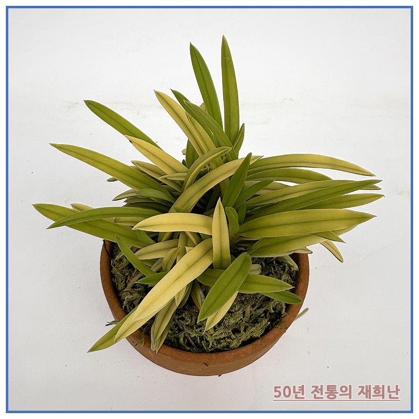 d888d37288816053c042ec2892086605_1764129512_6518.jpg d888d37288816053c042ec2892086605_1764129512_6518.jpg