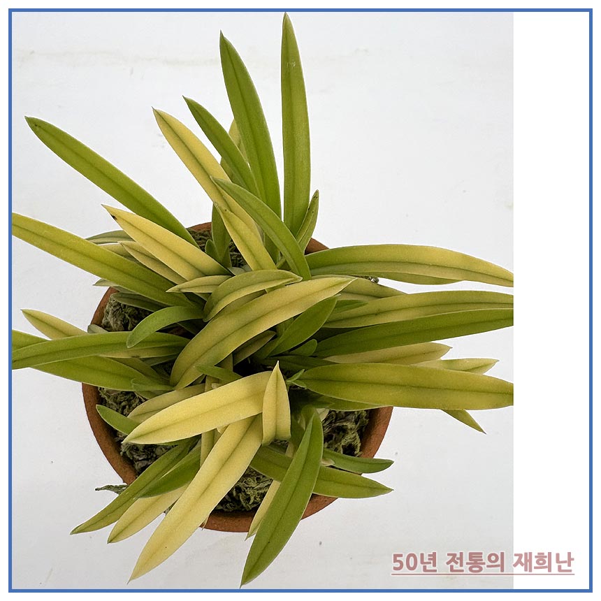 d888d37288816053c042ec2892086605_1764129512_6774.jpg d888d37288816053c042ec2892086605_1764129512_6774.jpg