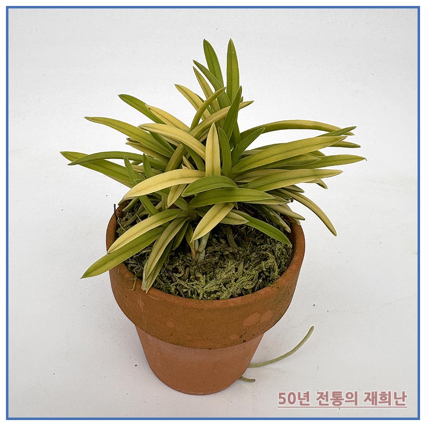 d888d37288816053c042ec2892086605_1764129512_7049.jpg d888d37288816053c042ec2892086605_1764129512_7049.jpg