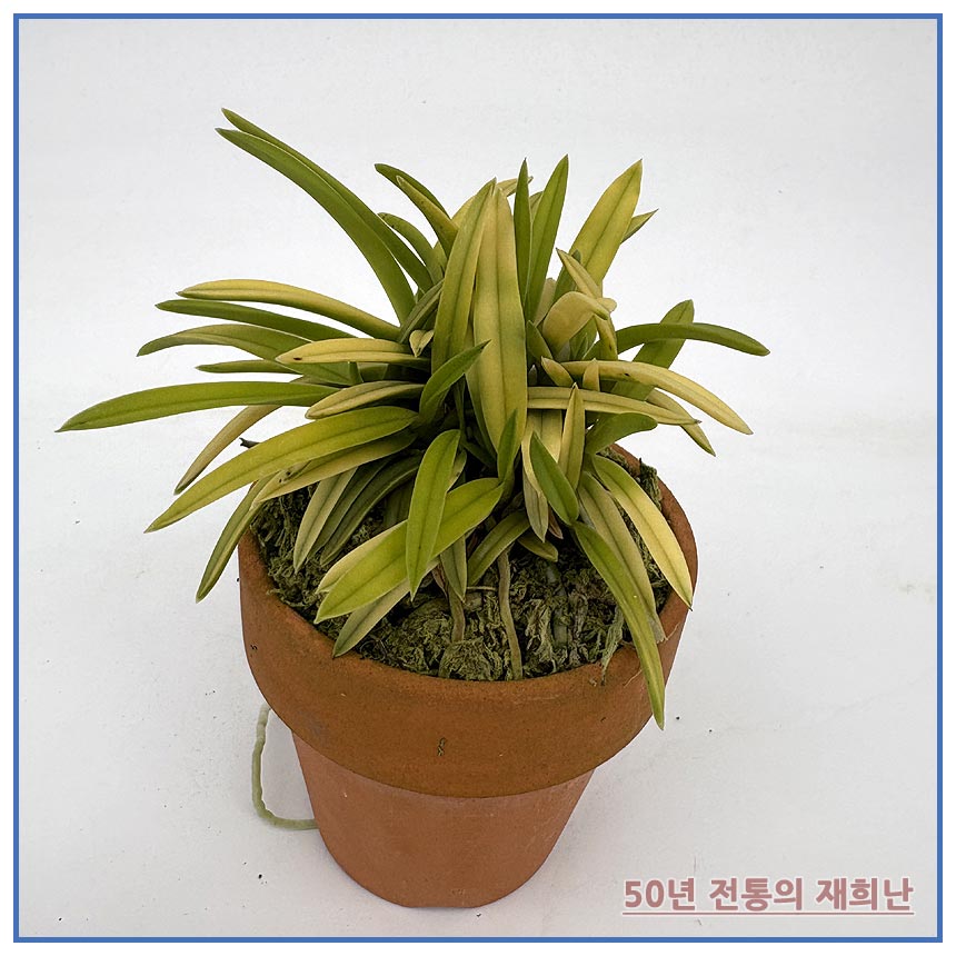 d888d37288816053c042ec2892086605_1764129512_7305.jpg d888d37288816053c042ec2892086605_1764129512_7305.jpg