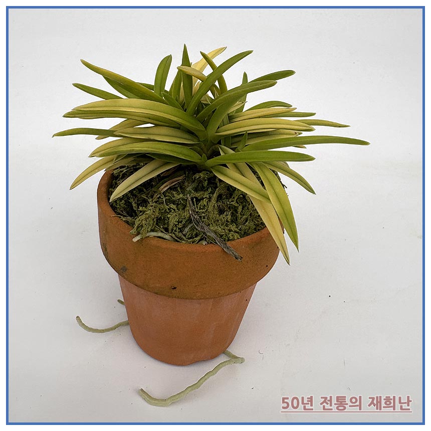 d888d37288816053c042ec2892086605_1764129512_7549.jpg d888d37288816053c042ec2892086605_1764129512_7549.jpg