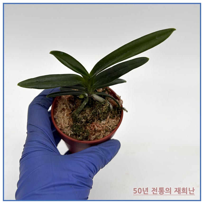 ed559affc8bb7ced031468b2789a5458_1764901861_8101.jpg ed559affc8bb7ced031468b2789a5458_1764901861_8101.jpg