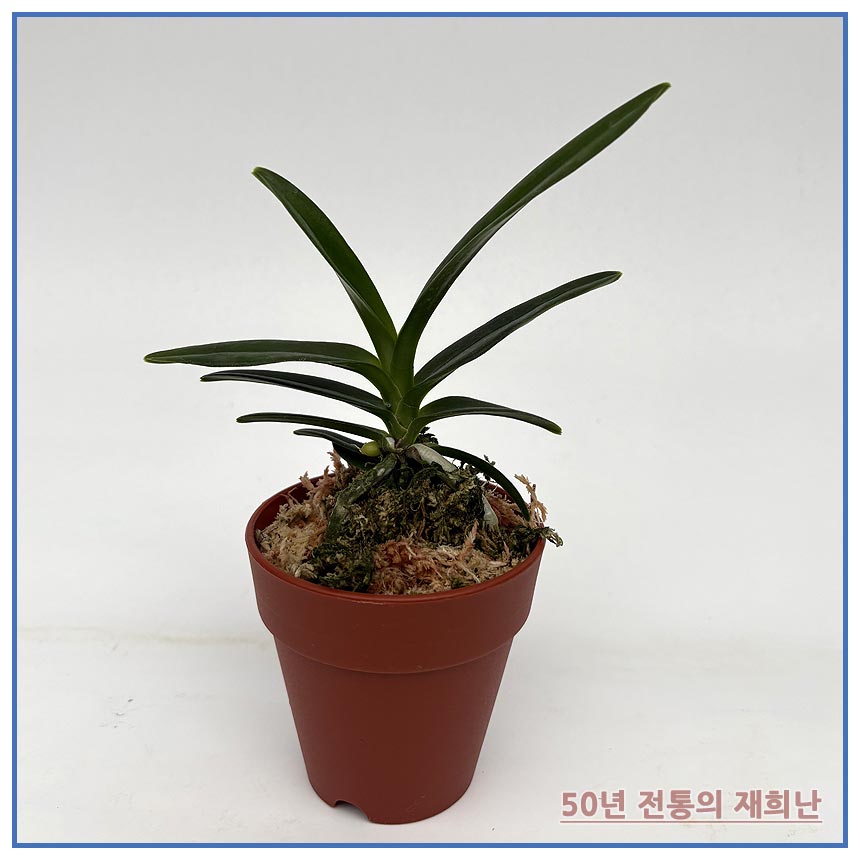 ed559affc8bb7ced031468b2789a5458_1764901862_0332.jpg ed559affc8bb7ced031468b2789a5458_1764901862_0332.jpg