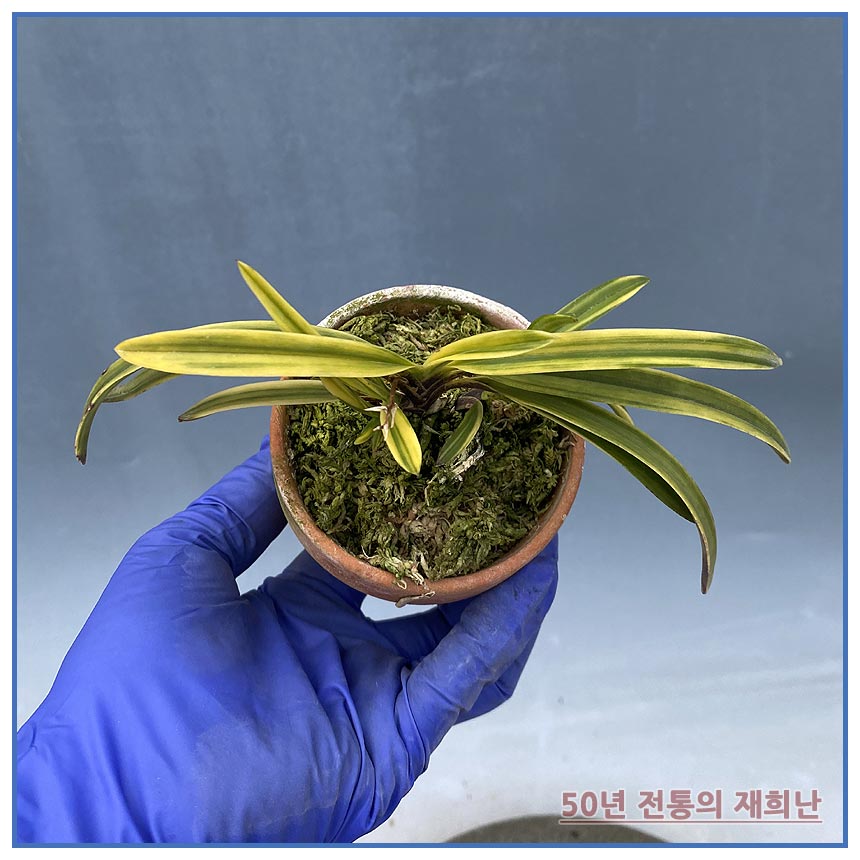 부악 250311-01