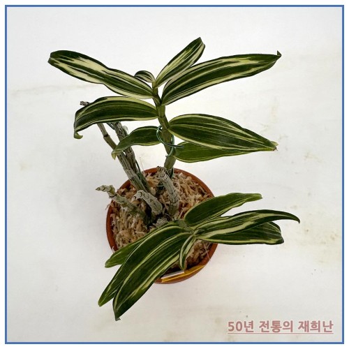 황남경 250924-11