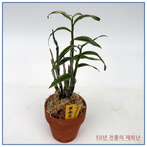 황남경 250924-11
