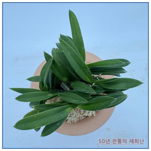 정지송 250915-11
