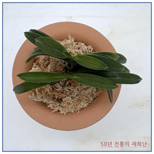 취화전 250915-18