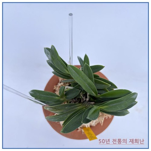 정지송 250924-05